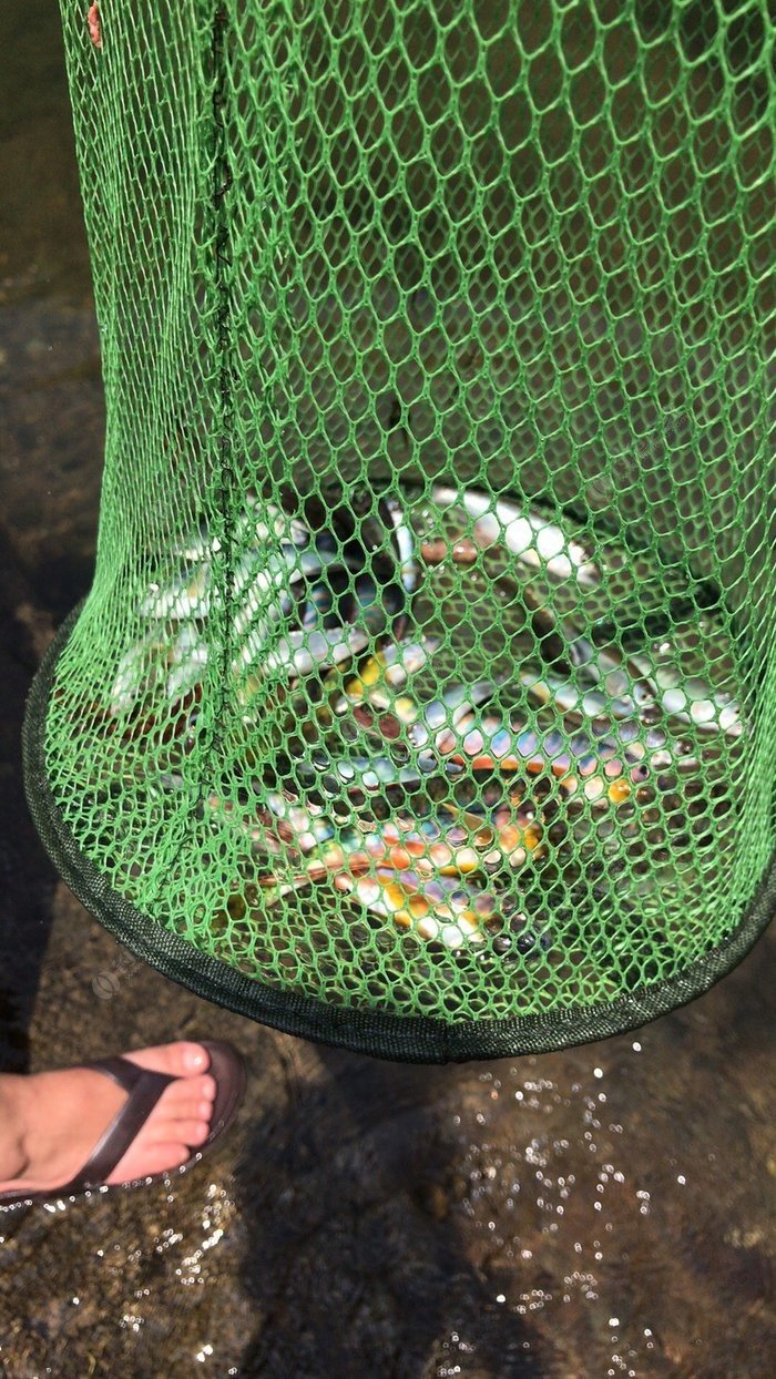 海釣漁具批發_海釣大魚視頻批發_釣魚視頻海釣實戰大魚