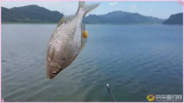 釣魚看漂游戲比賽攻略_釣魚那個漂怎么用_釣魚看漂游戲調漂