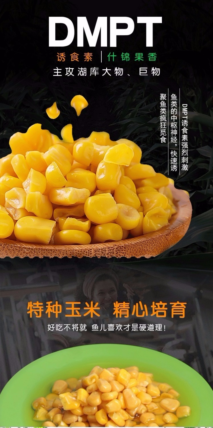 釣草魚用什么打窩子_釣草魚用什么打窩子最好_釣草魚打窩用什么