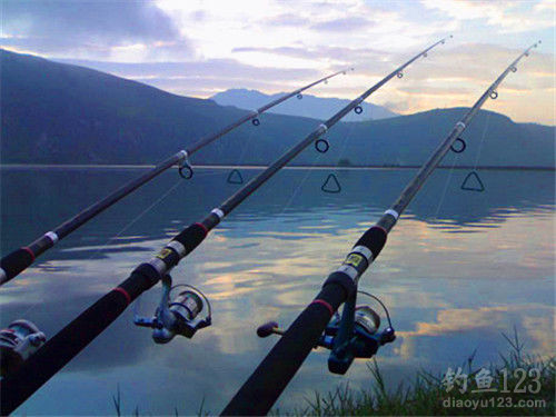 鯉魚網_鯉魚網首頁_紅鯉魚大浴場官網