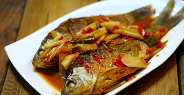 鯽魚和鯉魚的區別_鯉魚鯽魚區別圖片_鯽魚和鯉魚的區別在哪里圖片