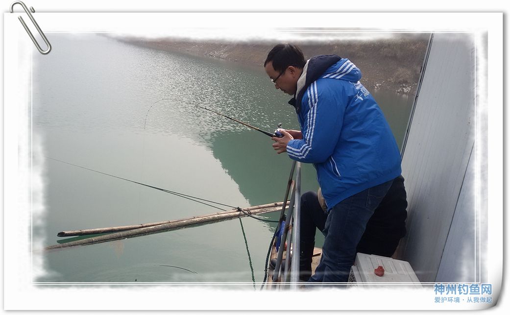 釣草魚打窩用什么_釣草魚打草窩用什么草_底釣草魚用什么打窩