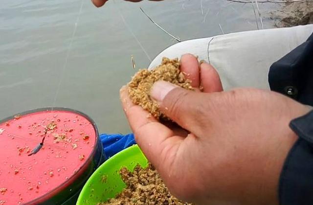 釣鯉魚的餌料搭配_釣鯉魚餌料搭配最好的方法_釣鯉魚餌料配方釣魚人必看