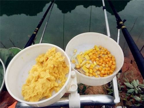 釣草魚餌料霧化多久好_釣餌料草魚好霧化怎么辦_釣草魚需要霧化嗎