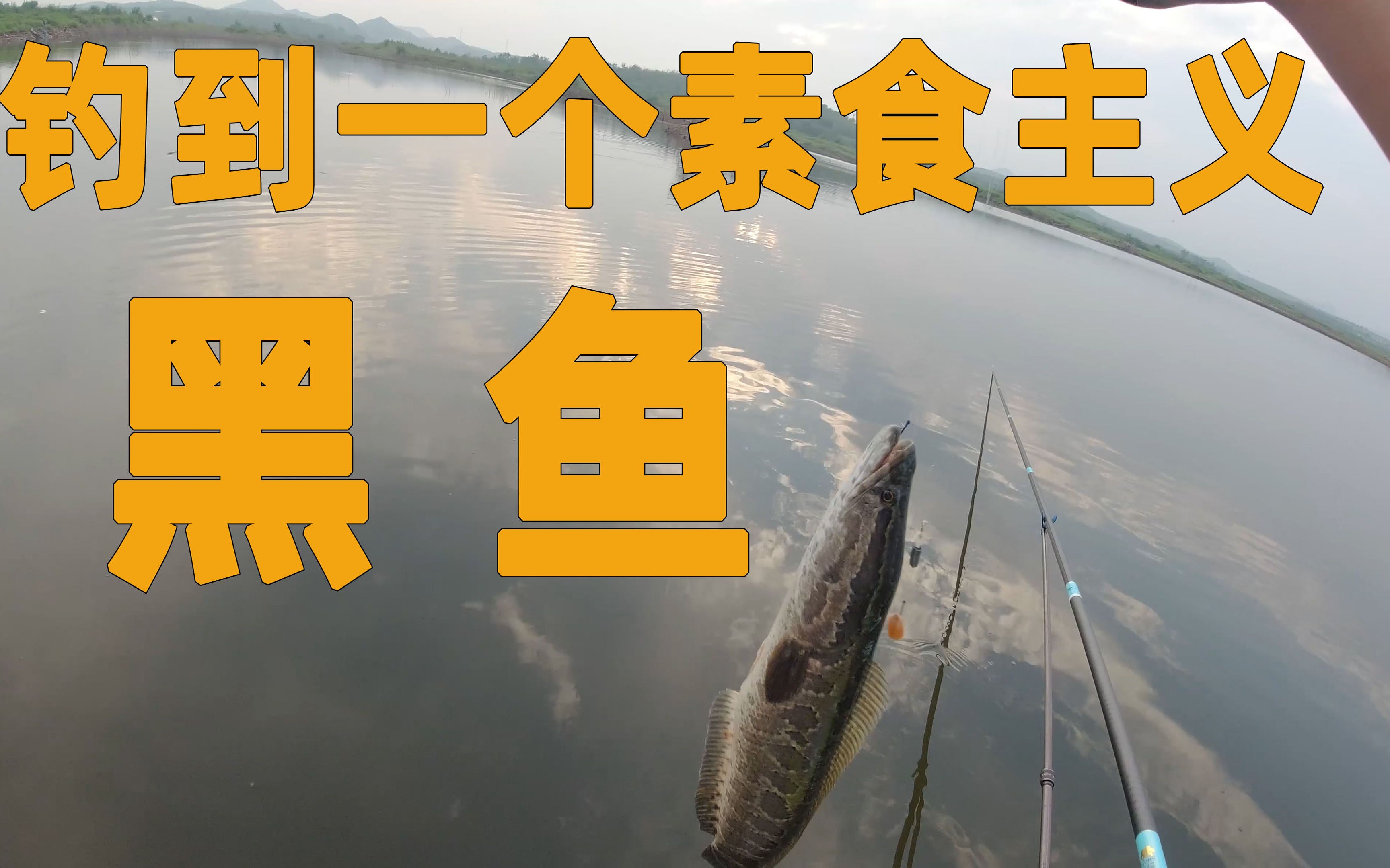 釣黑魚最簡單的方法有哪些_釣黑魚的方法_釣黑魚的幾種方法