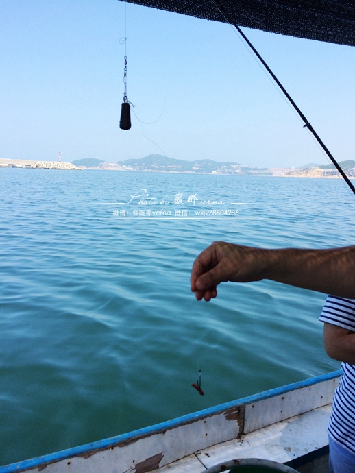 蚯蚓釣魚怎么掛鉤才正確_釣魚掛鉤蚯蚓正確掛法_釣魚鉤掛蚯蚓怎么掛