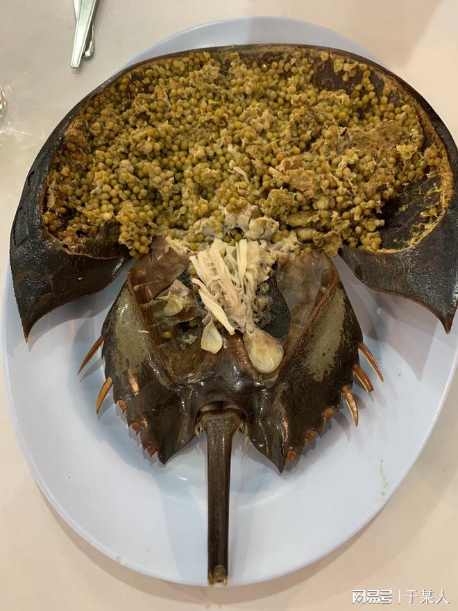 沙蟹是淡水蟹還是海水蟹_沙蟹是什么動物_沙蟹是海里的嗎