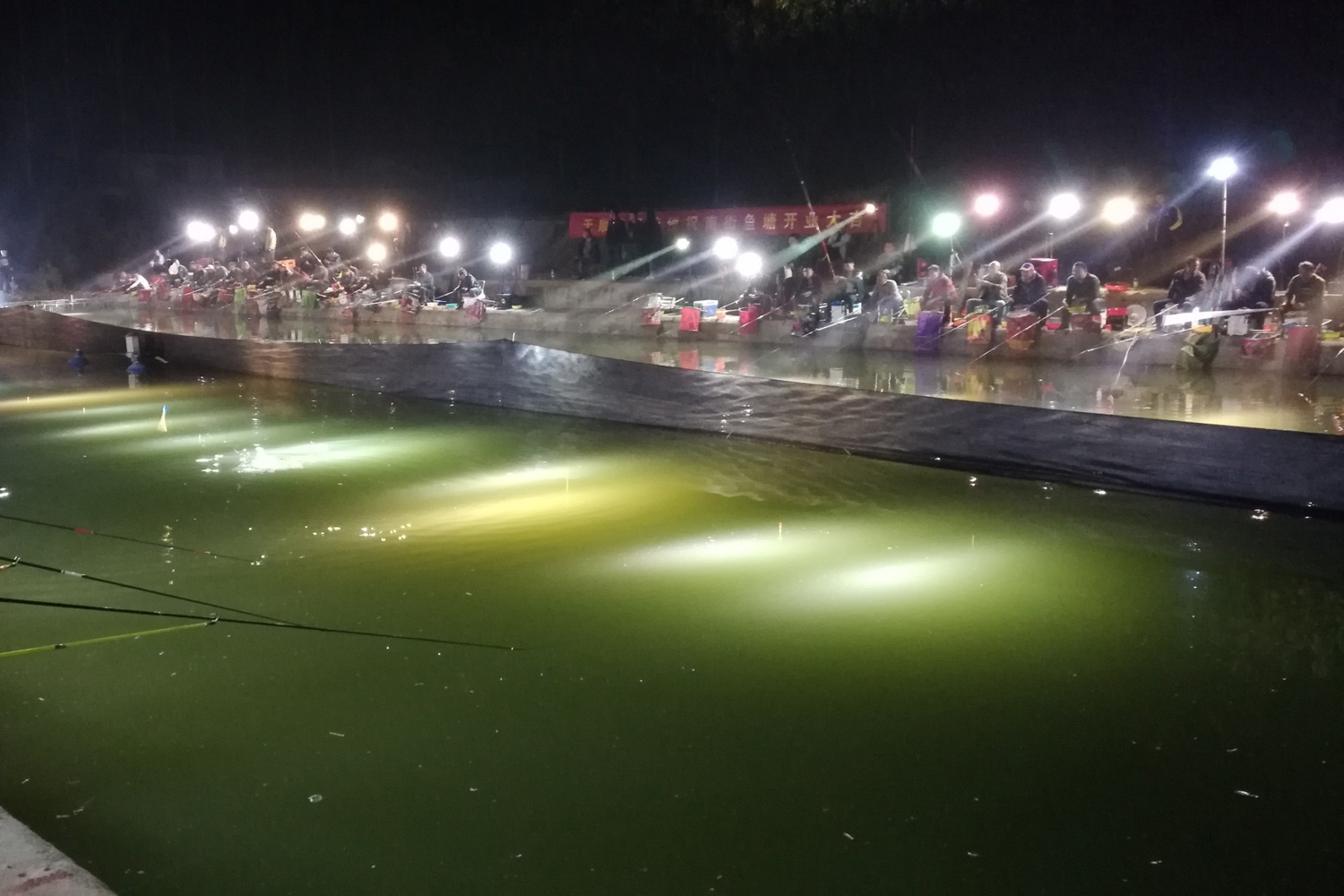 釣鮰魚最佳時間是什么時候_釣鮰魚最佳季節_什么時候釣鯔魚最佳