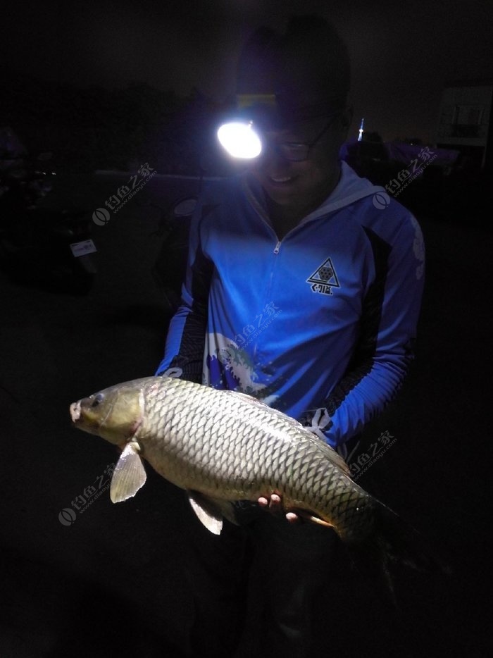 釣鯉魚那種鉤好用_釣鯉魚用什么鉤最好_鉤釣鯉魚好用什么餌料