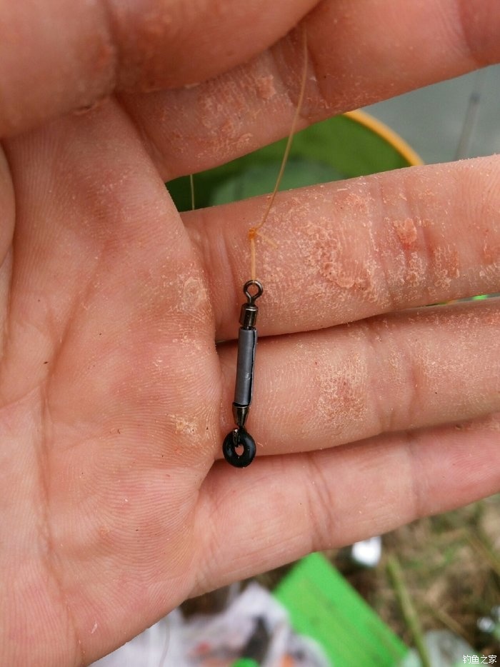 南方水庫用什么餌料_南方水庫釣魚用什么餌料最好_南方水庫釣魚餌料配方