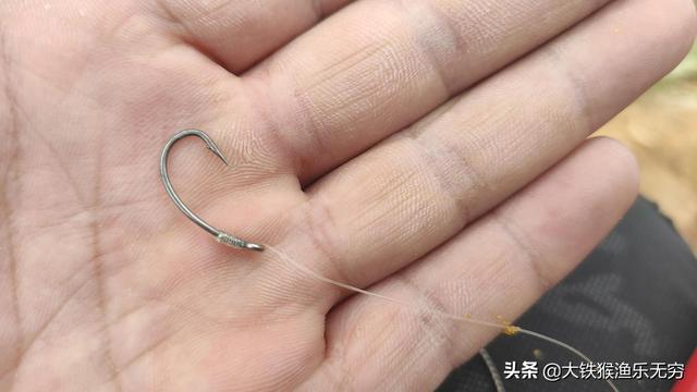 南方水庫用什么餌料_南方水庫釣魚用什么餌料最好_南方水庫釣魚餌料配方