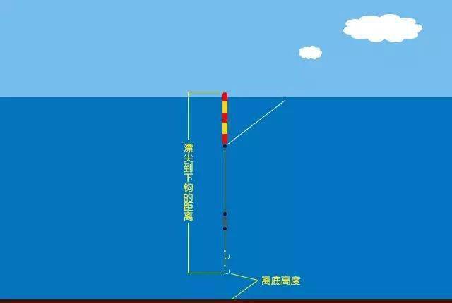 餌料釣草魚怎么調漂_釣餌料草魚正確方法調漂技巧_釣草魚餌料調漂的正確方法