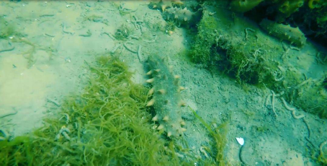 萊州海釣聯系電話_萊州海釣網免費_萊州海釣