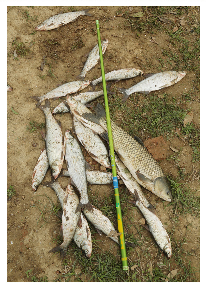 釣魚視頻水庫手桿怎么做_水庫釣魚視頻手桿釣魚_水庫野釣視頻手桿