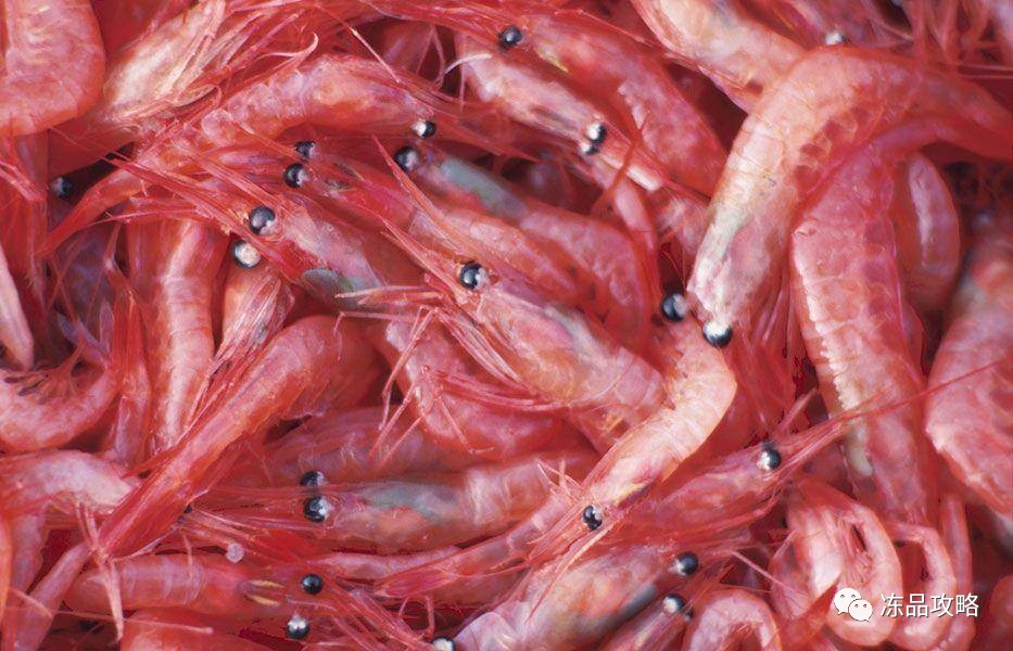 蝦青素什么成分_蝦青素是什么東西_食物蝦青素