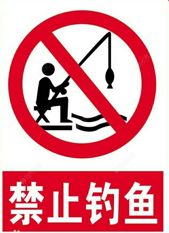 釣魚兒童游戲有哪些_釣魚游戲兒童版_兒童釣魚游戲