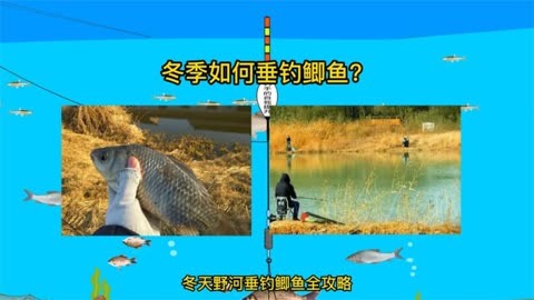 釣魚視頻野釣鯽魚視頻_釣鯽魚視頻野釣實戰_老鬼釣魚視頻之釣鯽魚技巧上