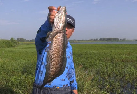 龔政委：釣魚是專注而忘我的境界