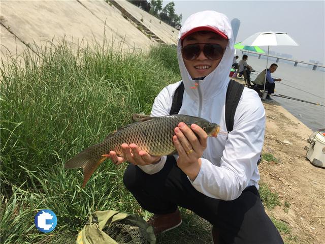 農銀時時付對公_進制轉換計算器app_新余釣魚網