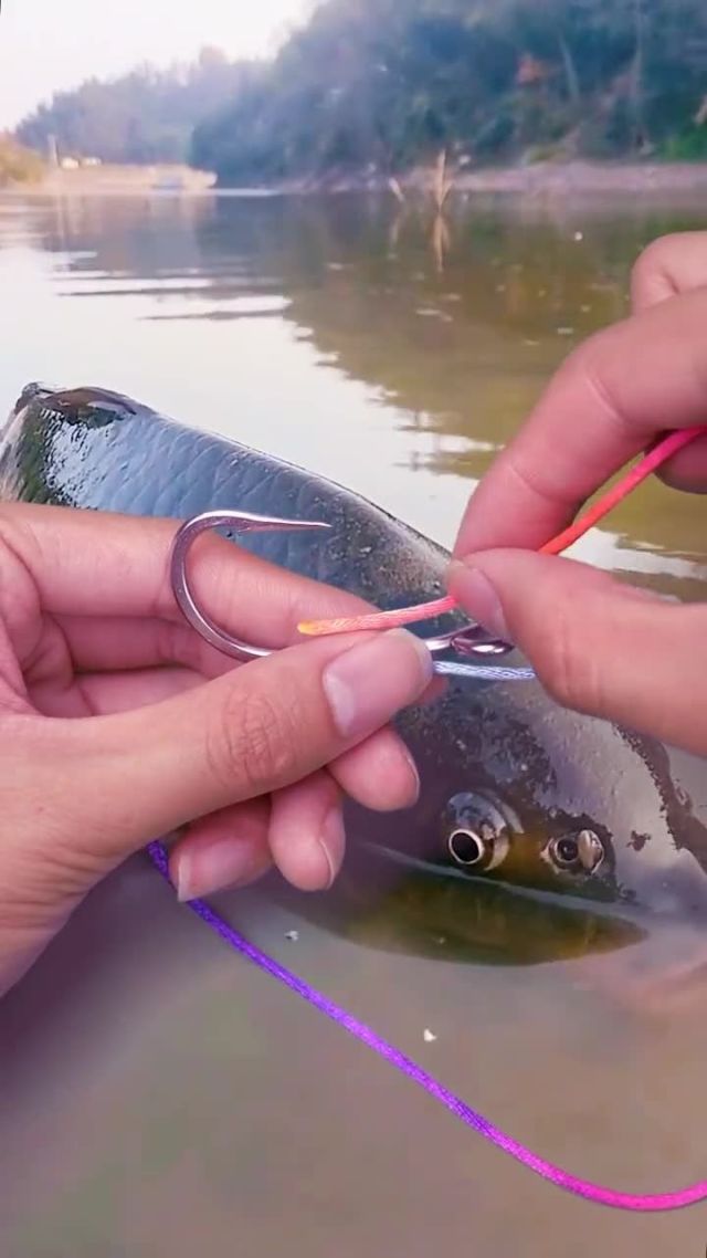 魚線和魚竿的綁法視頻_怎么綁魚竿線頭視頻_釣魚魚竿綁線的視頻