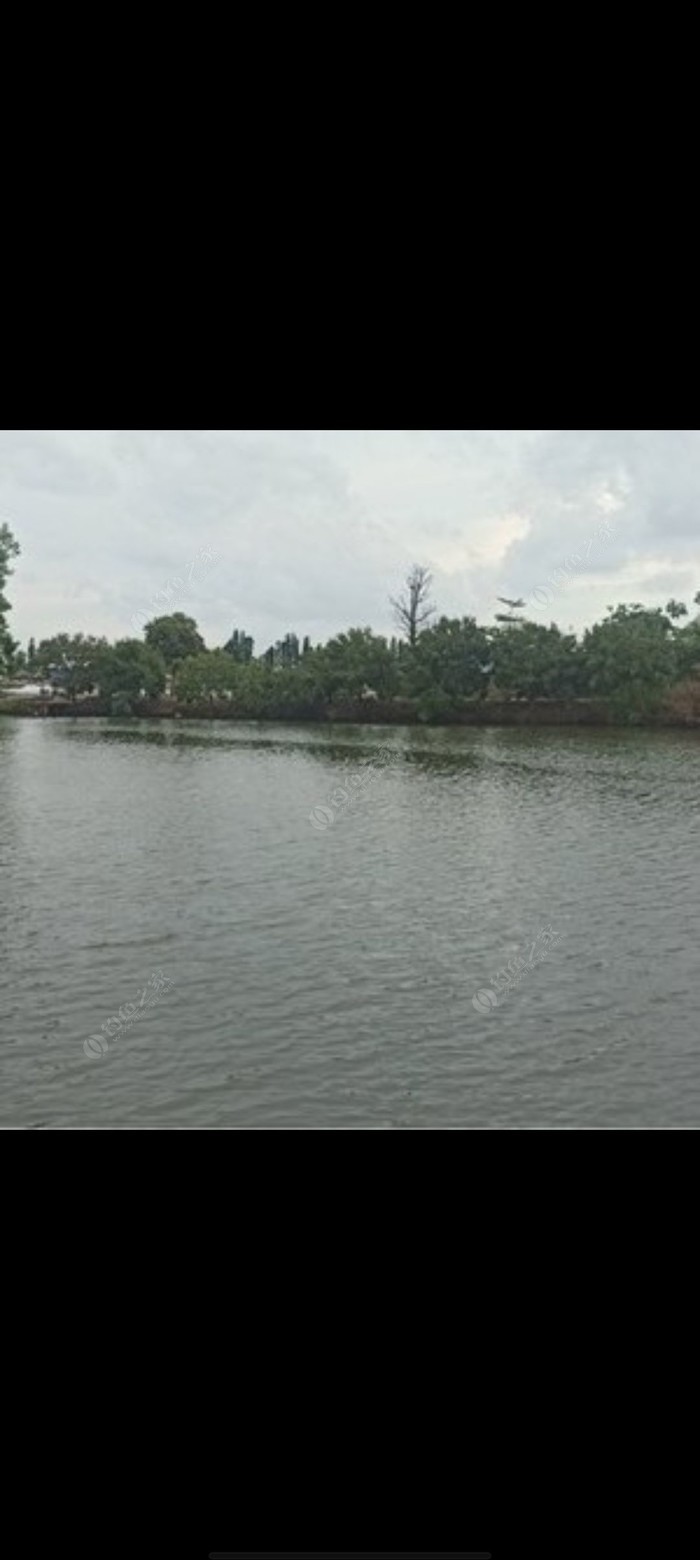 新鄭市哪里可以釣魚_新鄭免費釣魚地點_新鄭市附近哪有釣魚地方