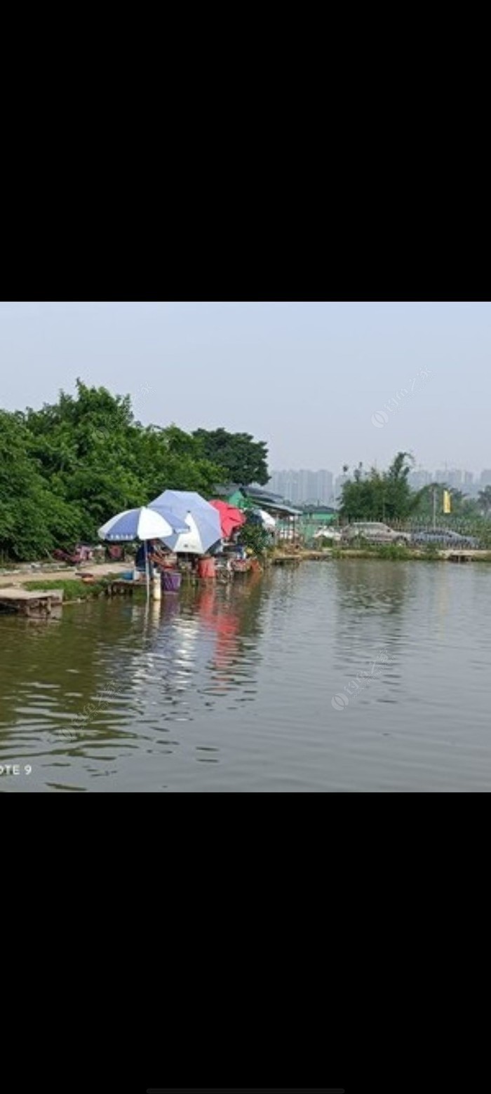 新鄭免費釣魚地點_新鄭市哪里可以釣魚_新鄭市附近哪有釣魚地方