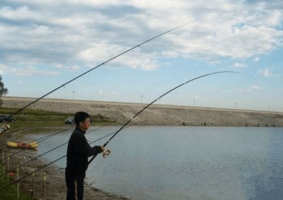 鯰魚垂釣季節_野釣鯰魚什么時候合適_釣鯰魚最佳時間是什么時候