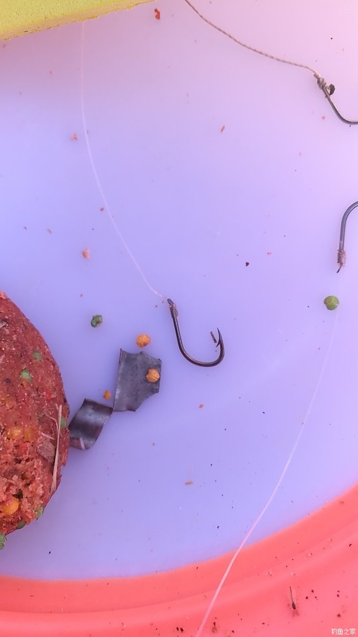 釣草魚民間絕招_釣草魚用什么釣法_怎樣釣草魚最快最有效