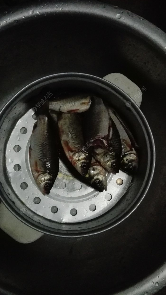 昂刺魚的學名叫什么魚_昂刺魚叫_昂魚叫名刺魚學名是什么