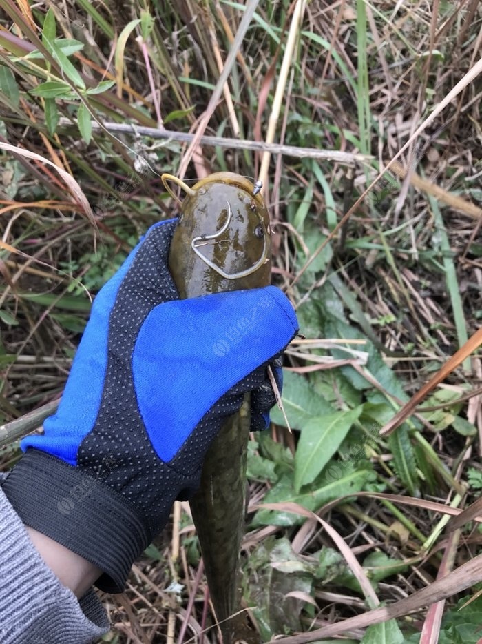 石家莊釣魚吧百度貼吧_石家莊釣魚圣地_石家莊釣魚