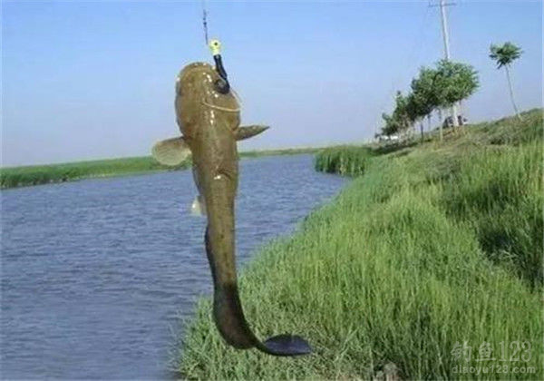 石家莊釣魚圣地_石家莊釣魚吧百度貼吧_石家莊釣魚
