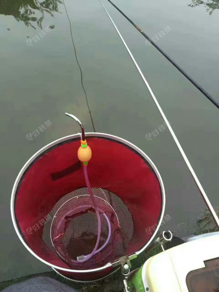 怎樣釣草魚最快最有效_釣草魚民間絕招_釣草魚用什么方法最好
