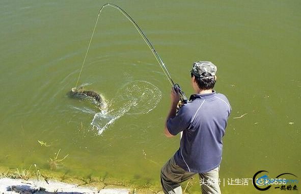 伊豆魚鉤型號對應子線_伊豆魚鉤號數對照表_伊豆魚鉤型號對應魚大小