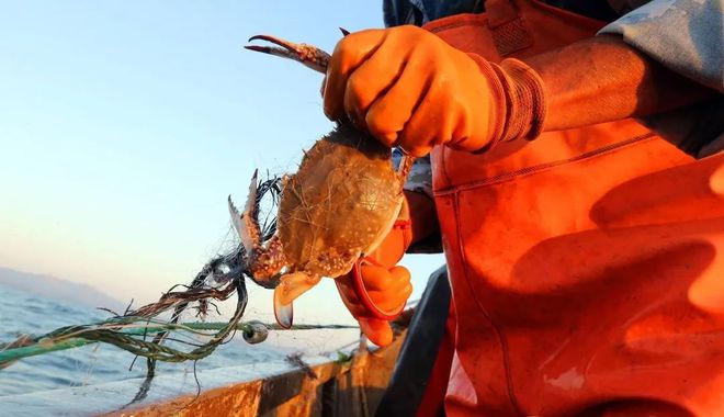 釣螃蟹的方法視頻教程_釣螃蟹的最快方法_釣螃蟹絕招