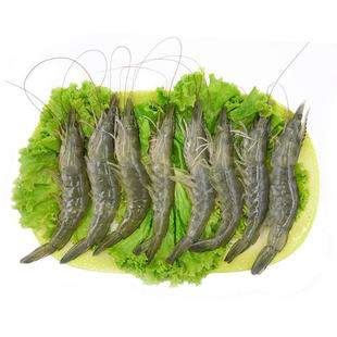 魚餌直播提成比例_魚餌直播教程_魚餌料直播間