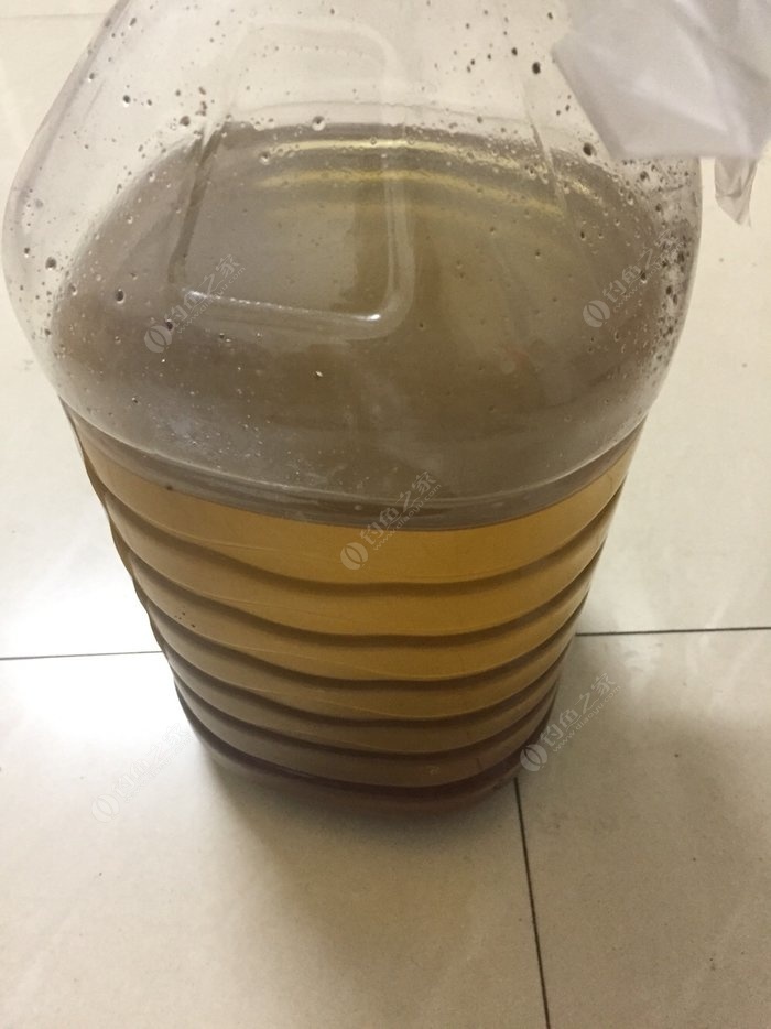 釣鯉魚配方中草藥_釣鯉魚配方藥中草藥圖片_釣鯉魚配方藥中草藥有哪些