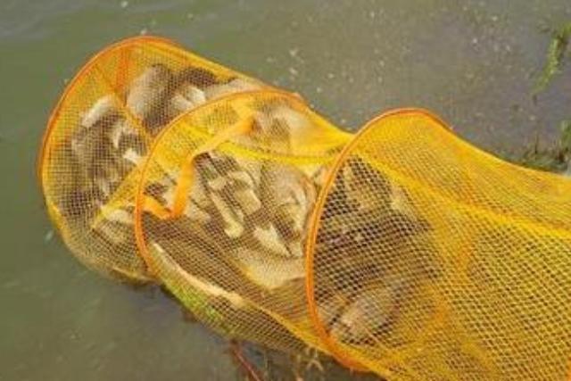 釣草魚用多大的漂_怎樣釣草魚最快_釣草魚的方法和技巧