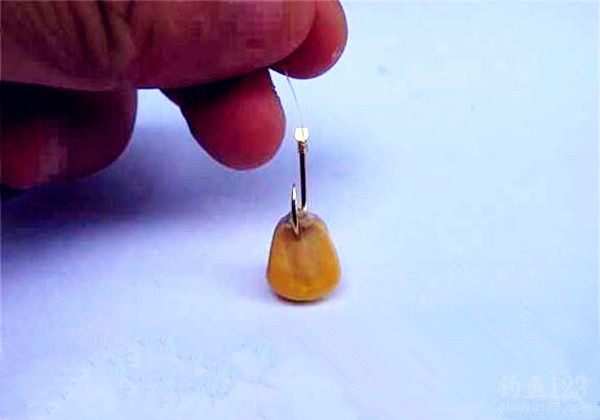釣草魚技巧大全視頻_釣草魚技巧和方法_怎樣釣草魚技巧