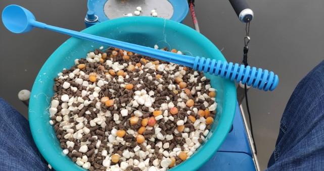 釣翹嘴魚用什么餌料最好_用啥魚餌釣翹嘴魚_釣餌料魚好用翹嘴魚鉤嗎