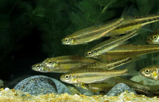 海釣竅門_海釣方法好去釣魚嗎_去海釣最好的方法