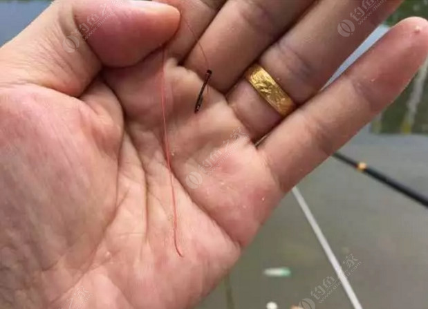 海邊遠投綁鉤方法_遠投海釣釣組綁法_海釣遠投子線纏繞主線
