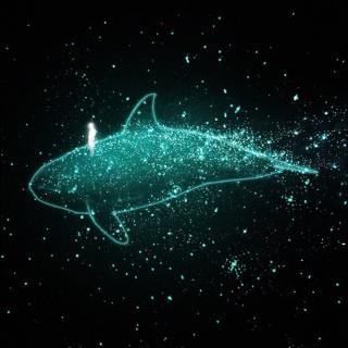 恐怖的鯨魚_世界上最恐怖的鯨魚_恐怖鯨魚世界上有幾個