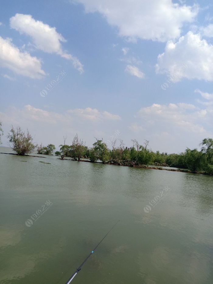 金線魚釣組_金線鲃是什么魚_金線魚釣法