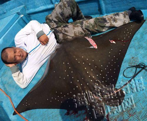 釣大魚視頻大全搞笑_釣視頻搞笑大魚大全圖片_搞笑釣魚小視頻