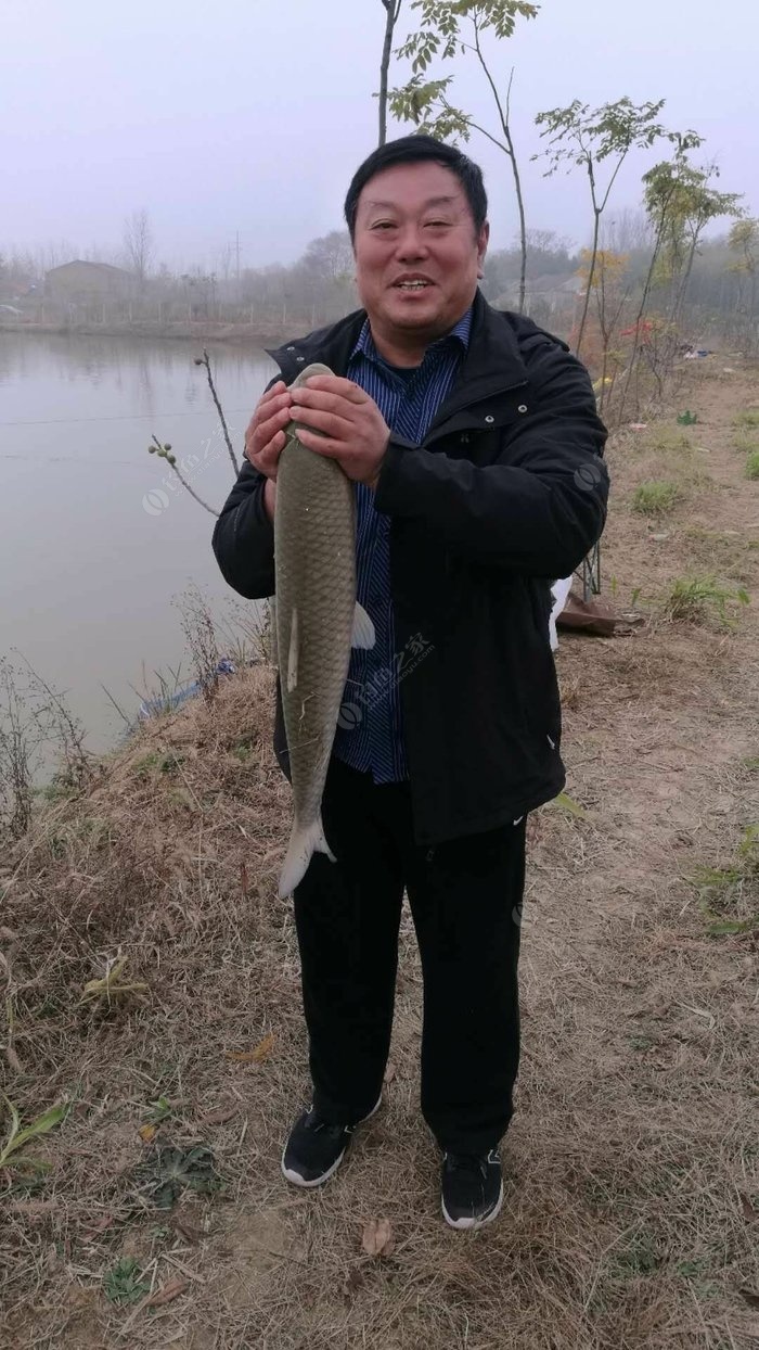 五月草魚怎么釣_五月釣草魚用什么餌最好_五月的草魚釣法