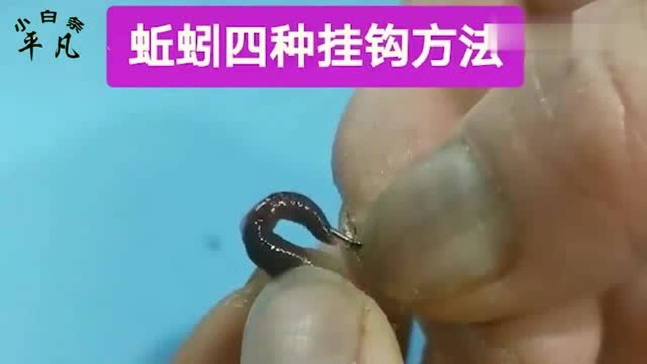 掛鉤餌料_掛鉤魚餌用什么牌子好_魚餌怎么掛鉤