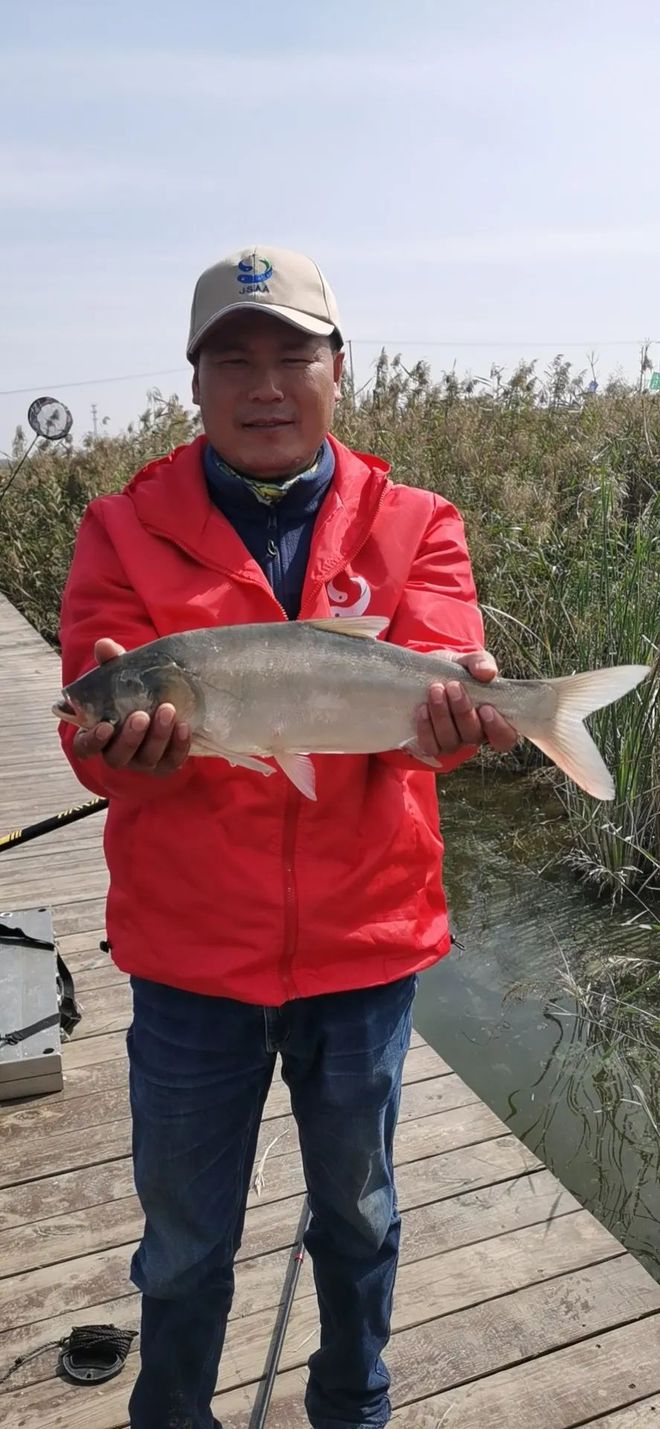 梭邊魚是什么魚_魚梭是什么字_魚梭是干什么用的