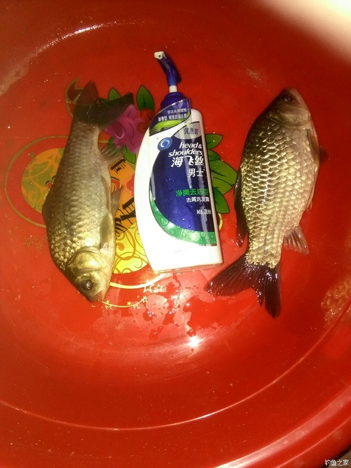 草魚釣法爆炸鉤使用_爆炸鉤釣草魚用什么餌最好_爆炸鉤草魚怎么釣