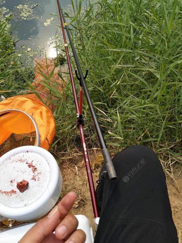 釣鯉魚魚鉤選擇多長的_釣鯉魚首選魚鉤_釣鯉魚魚鉤的選擇