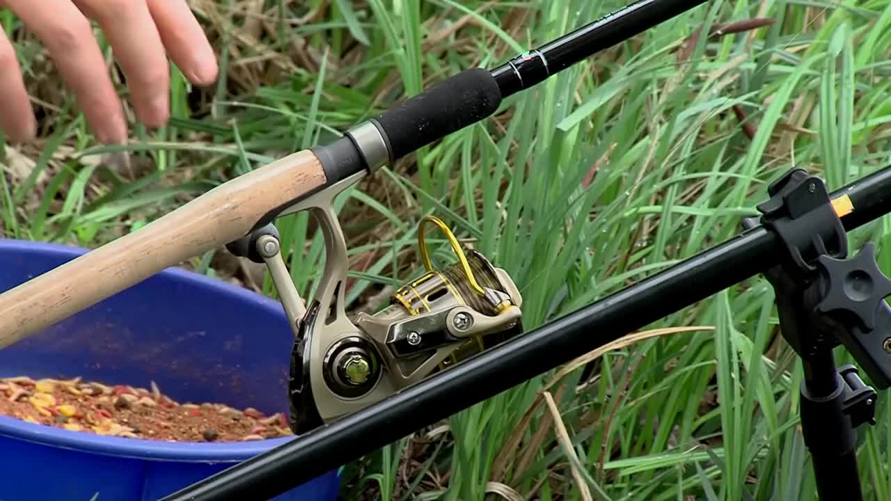 釣鯉魚首選魚鉤_釣鯉魚魚鉤選擇多長的_釣鯉魚魚鉤的選擇